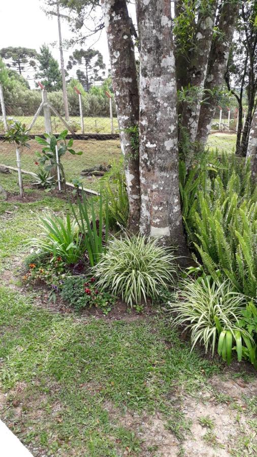 Recanto Do Saiqui Canela Buitenkant foto